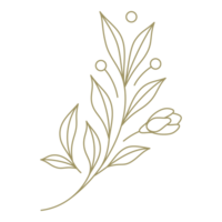 Branch with berries and flower line art design element png