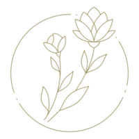 Flower in circle frame line art design element png