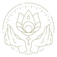 Hands holding flower line art design element png
