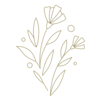 Branch with berries and flower line art design element png