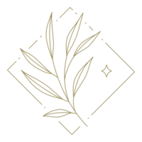 Floral line art sqaure frame design element png