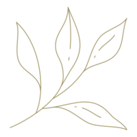 minimaliste branche avec feuilles ligne art conception élément png