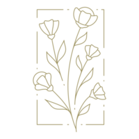 Flower in rectangular frame line art design element png