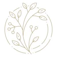 Branch with lieaves and berries in circle frame line art design element png