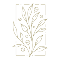 Flower in rectangular frame line art design element png