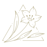 Flower in triangle frame line art design element png