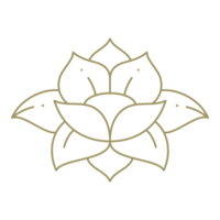 Lotus flower line art design element png
