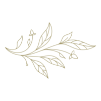 Minimalist branch with leaves line art design element png