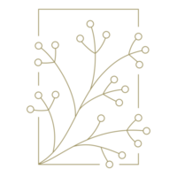 Branch with berries in rectangular frame line art design element png