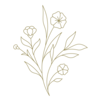 Branch with flower line art design element png