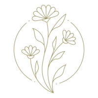 Flower in circle frame line art design element png
