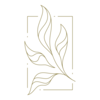 Flower in rectangular frame line art design element png