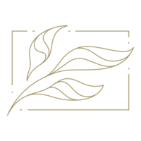 Flower in rectangular frame line art design element png