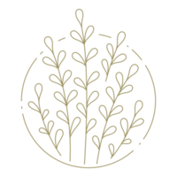 Branches with lieaves in circle frame line art design element png