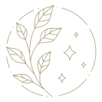 Branch with lieaves in circle frame line art design element png