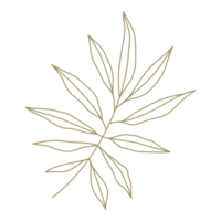 Minimalist branch with leaves line art design element png
