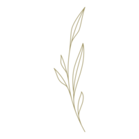 Minimalist branch with leaves line art design element png