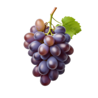 Purple Grape Fruit Image Without Background png