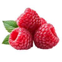 Image Without Background Red Raspberry png