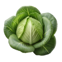 Vegetable Image Without Background Green Cabbage png