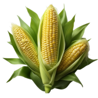 Vegetable Image Without Background Corn Farm png