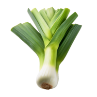Vegetable Image Without Background Green Leek png