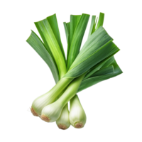 Vegetable Image Without Background Green Leek png