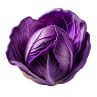 Vegetable Image Without Background Purple Red Cabbage png
