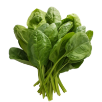 Vegetable Image Without Background Green Spinach png