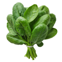 Vegetable Image Without Background Green Spinach png