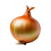Vegetable Image Without Background Onion png