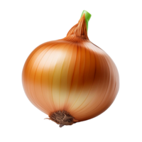Vegetable Image Without Background Onion png