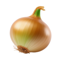 Vegetable Image Without Background Onion png