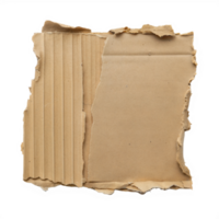 Torn Cardboard Isolated on Transparent Background with Rough Edges png