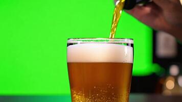 A bartender pouring a draft beer into a pint glass. Green screen backdrop. Bright, even lighting to reflect a pub setting. video