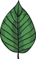 leaf illustration isolated on transparent background. png