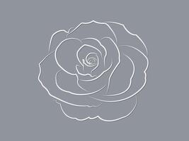 A cool white rose flower design blooming so beautiful with lines on dark background illustration vector
