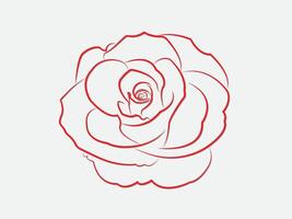 A cool red rose flower design blooming so beautiful with lines on light background illustration vector