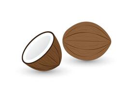 A fresh broken and sliced brown coconut on white background illustration vector