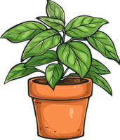 plant illustration isolated on transparent background. png