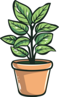 plant illustration isolated on transparent background. png