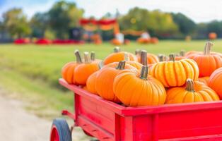 Fall Festivities. Red Wagon Laden with Colorful Pumpkins photo