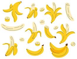 Hand drawn banana set. Simple drawing of whole, peeled bananas, sliced, chopped, empty peel vector