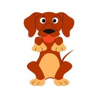 Dachshund dog sitting with ball in mouth. Playful pedigree puppy in hand drawn style vector