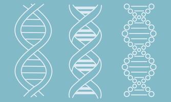 Set of abstract DNA molecule outline icon isolated on blue background vector