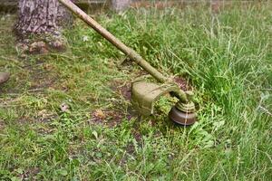 Professional grass cutting on lawns with a mini handle lawn mower photo