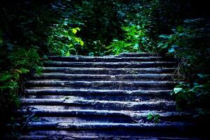 a set of stairs and its surrounding walls or structure. Old ruined stone staircase photo