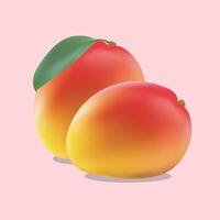 Mango fruits. Sweet tropic fruit. Mango 3D icon on a pink background with shadow. 3D realistic isolated . Editable handmade mesh vector