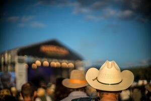 Audience enjoying live country music at a festival
