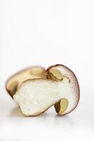Wild porcini mushroom isolated on white background. Wormy sliced boletus fungi. Half of slice. Worm trace in the fungus flesh. Harvesting for winter. Preparing for drying. Selective focus. Copy space photo